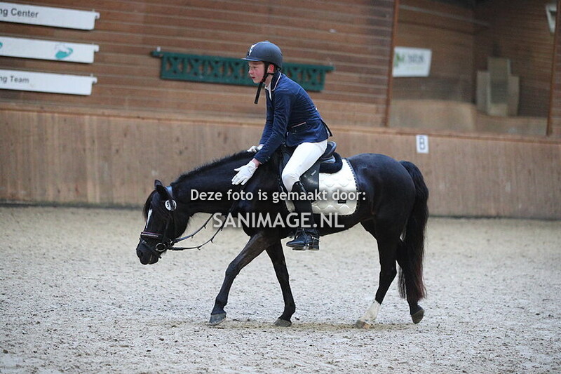 PV Midland Dressuur 19-01-2025 13.15 uur