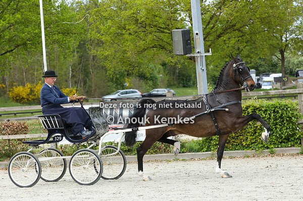 Nationaal - Ereklasse 