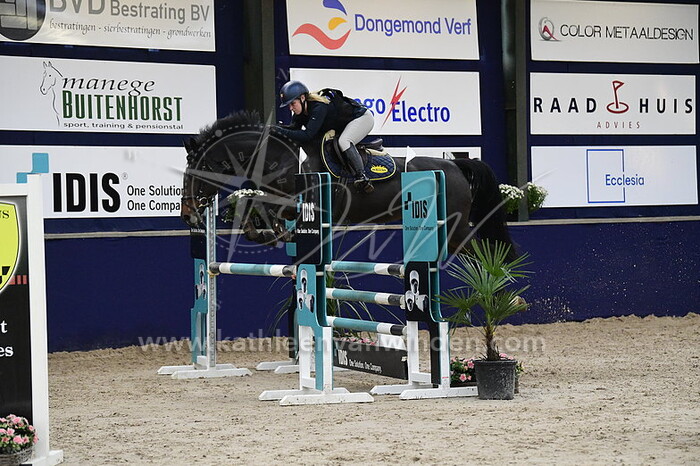 Denize van der Poel - Mallediva VDP