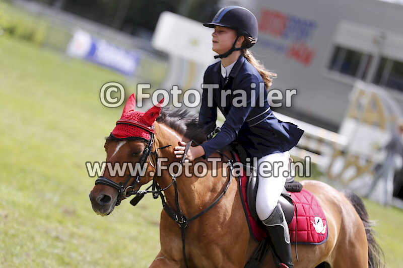 Tineke Hilda Haddema