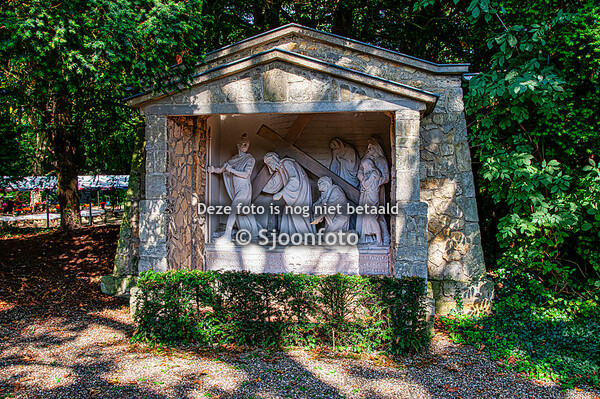 20230911 Bloemtapijt