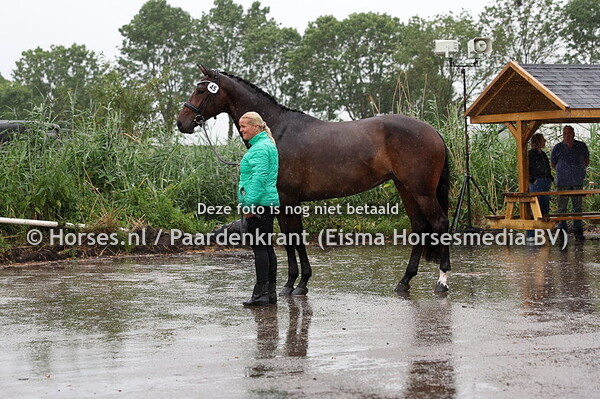 45 Olya L.E. (Hermes x Watradin v. San remo)