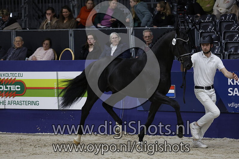 Renoir J.p.p. v. Lambada Shake Ag - 098