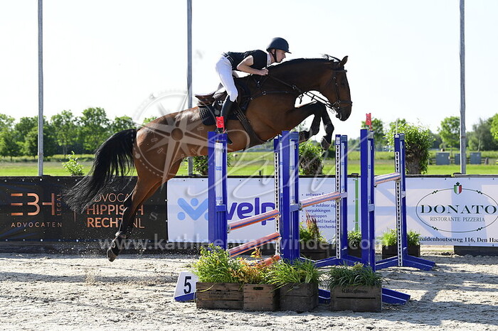 Brian Martens - Indiana Jones