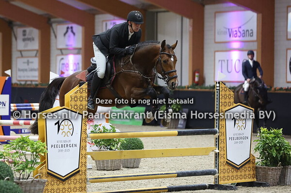 7 Romario (Kitt SB x Kavaria v. Chester) Tonnie Albertema