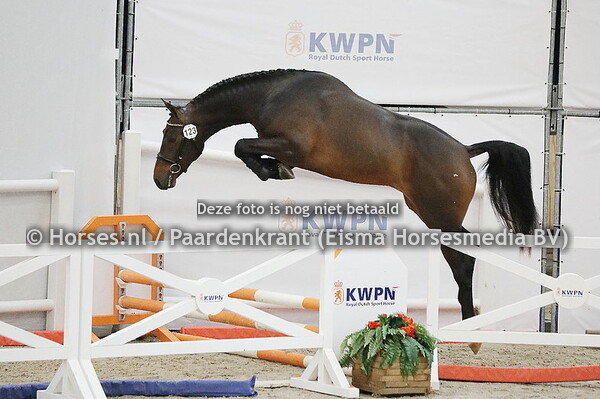 123 Orindus W (Impressive x Carinda v. Ukato)