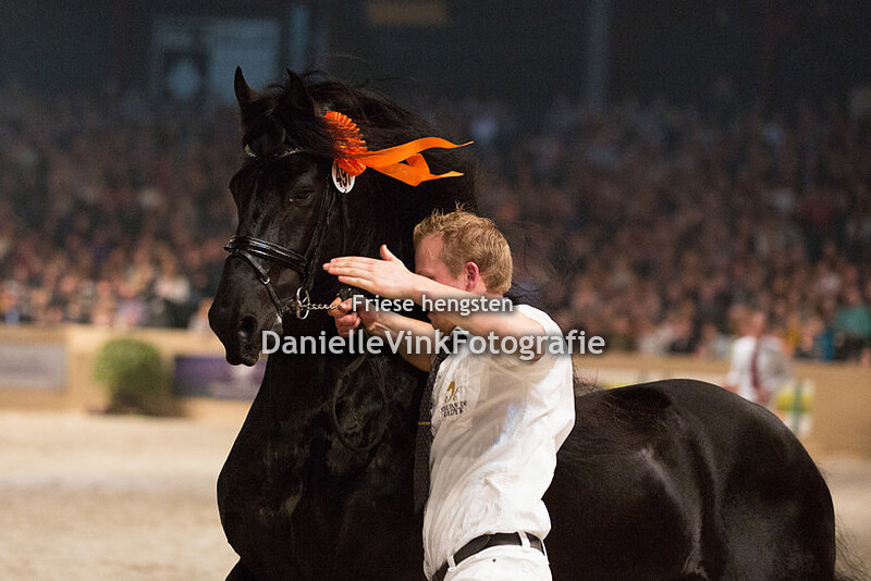 Hengstenkeuring 2018 Mees 497