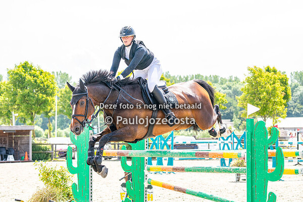 outdoor beukers paarden 120/130/135/140cm 31/05/2025