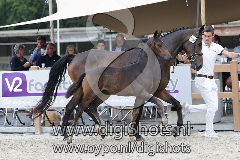 Versailles Norel v. Rocky Norel