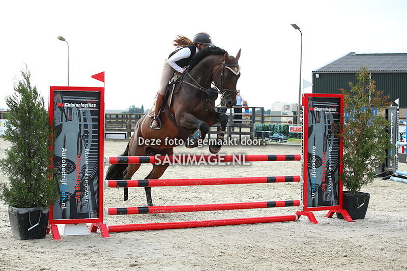 Reigersburgh 06-09-2025 Springen Paarden 100 cm