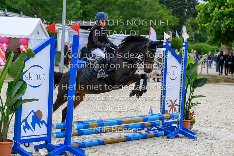 2 Rijstijl pony's 0.40_0.50 cm cat. ABCDE MB-ZB