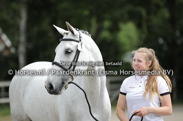 12-06-2021 CK en STBK Jong KWPN Ermelo