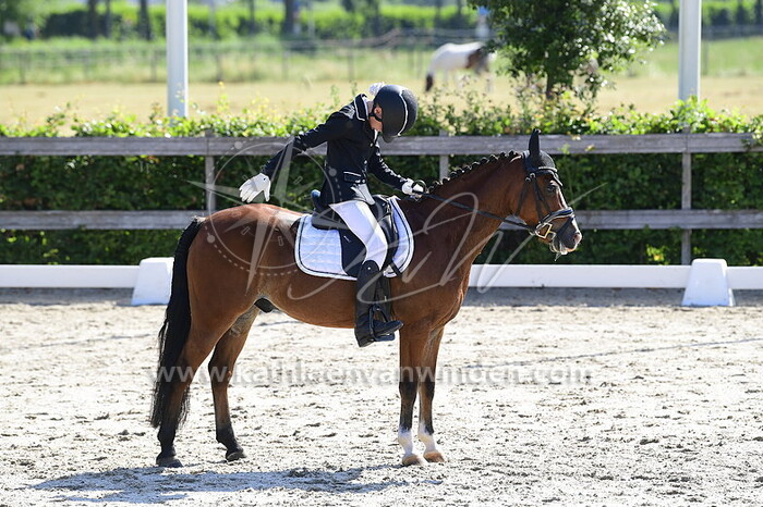 Babette Boere - Cesar