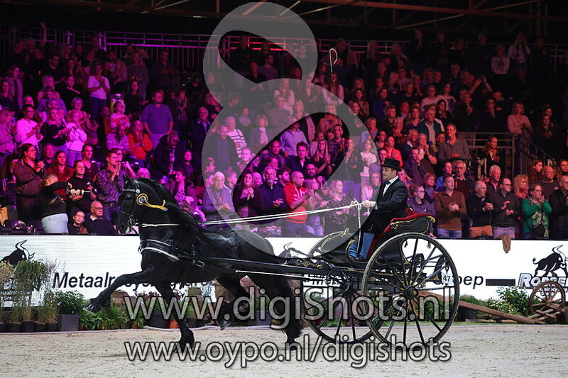 07 Fries Ras - Nederlands Kampioenschap Dekhengsten