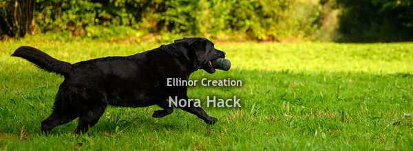 Zondag 13 september 2020