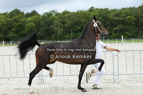 Rondalina HM ( Lanto x Atleet ) 