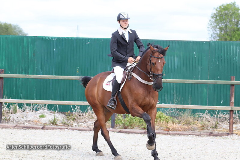 Hippisch Festijn PSV Polarfürst 25-05-2019 M 2