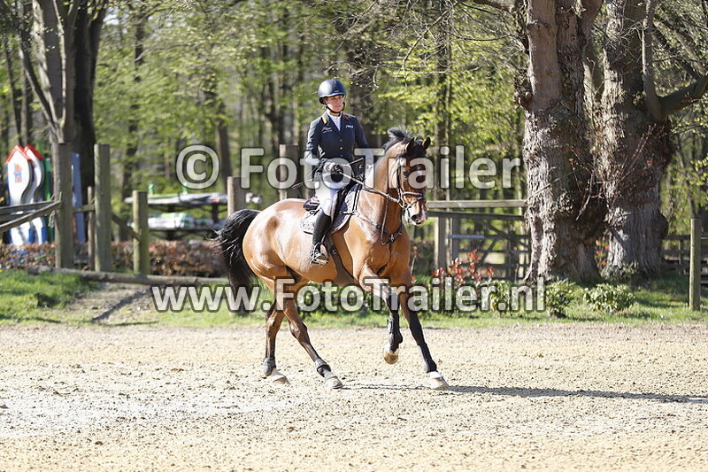 annelies vorsselmans