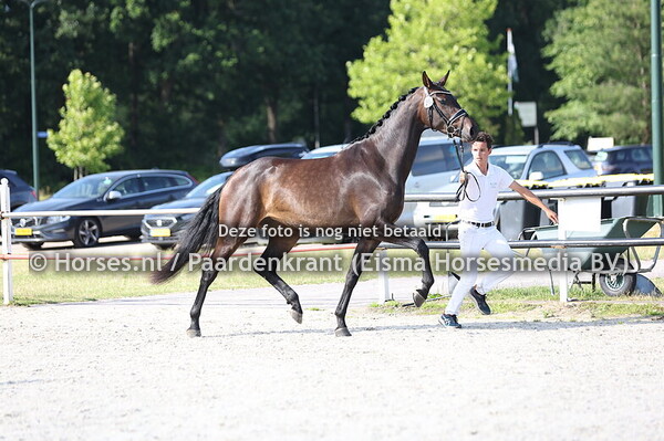 26 SCOOBYLOU  MTH (ZIYECHx LOBILOU MTH v.  GOVERNOR)