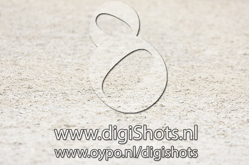 Ring 3 Klasse M2 Paarden