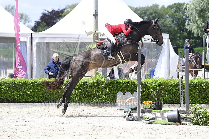 Lucille Billet - Ciolga