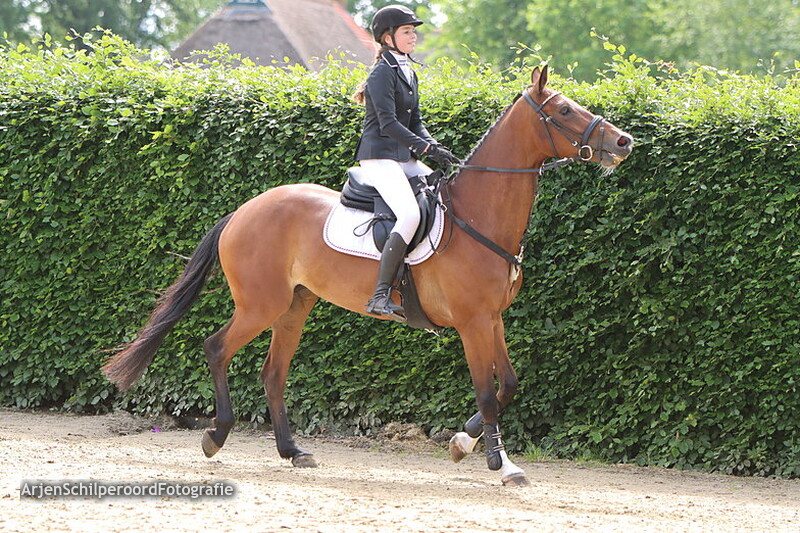 CH Wanneperveen 26-05-2022 Pony's 60cm Klassiek op stijl