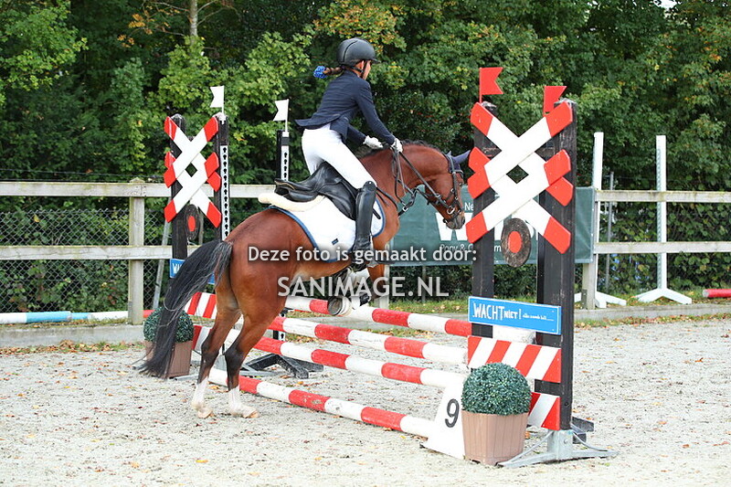 Welsh Sportdag 13-09-2025 Springen 60 cm