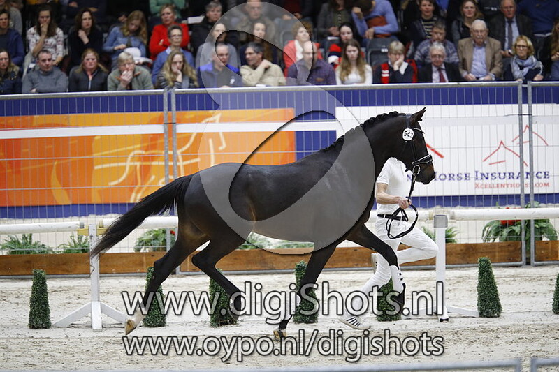 Lugano GLN v. Trafalgar