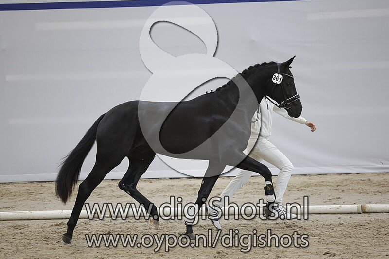 Promise v. Furst Dior - 361