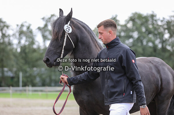 29. Layka van Bart zunne Stal