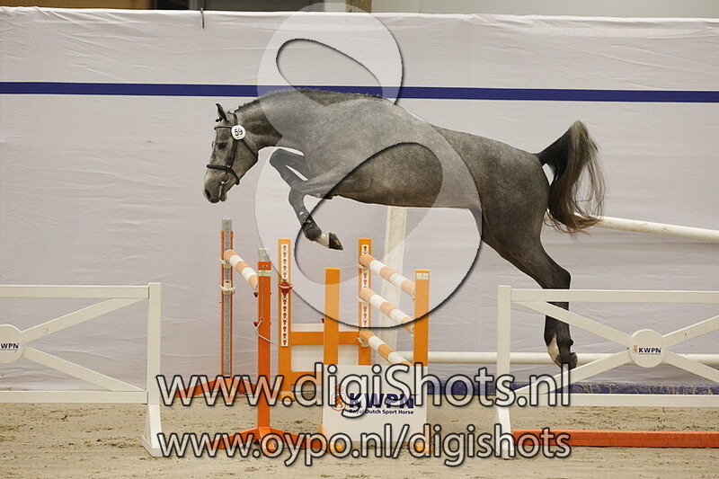 Sicario v. Dia Corrado