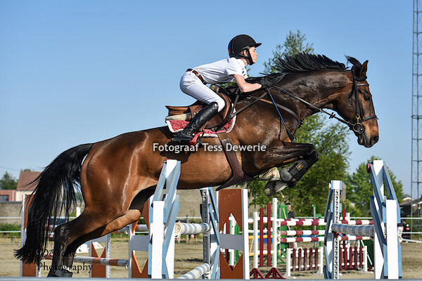 PaardenOutdoor Koningshooikt 24.05.2015