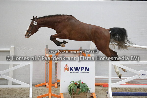 138 Onyx (Jubel ES x Zijlita-Bryolita v. Solitair)