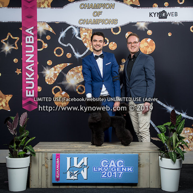 CHAMPION OF CHAMPIONS