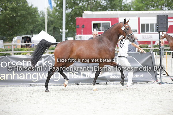 125 O-Lita (For Fold x Jutha-Lita v. First Choice)