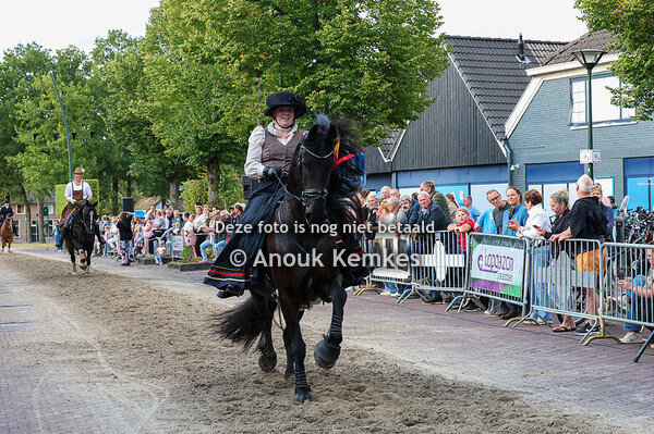 Best gaand Peaky Blinder paard van Rolde 