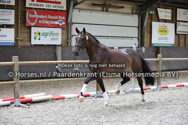 48 Kacie Vita v Goldberg