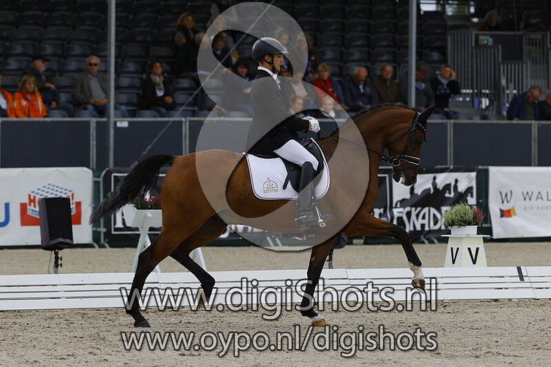 Parkertech Gardenart