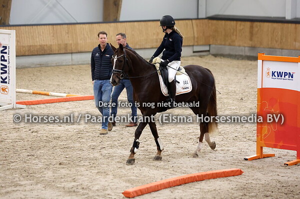 44 Sweety (Don Schufro x Bowy O v. Furst Heinrich)