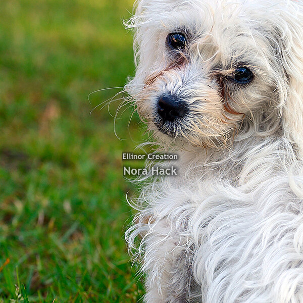 Zaterdag 13 juni 2020