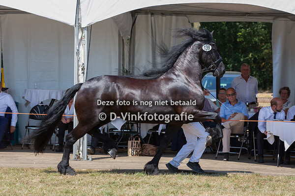 139. Grietje van de Gonda