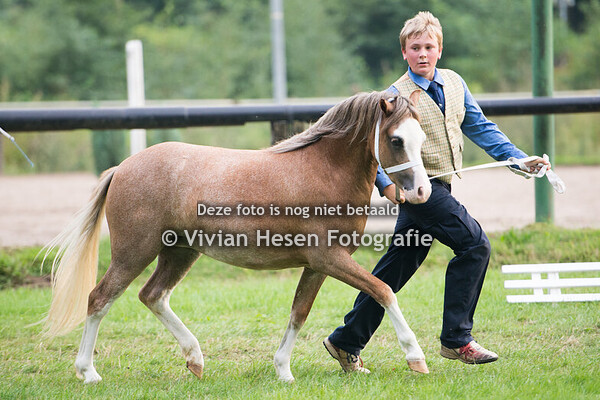 Internationale Welsh Grenz Schau