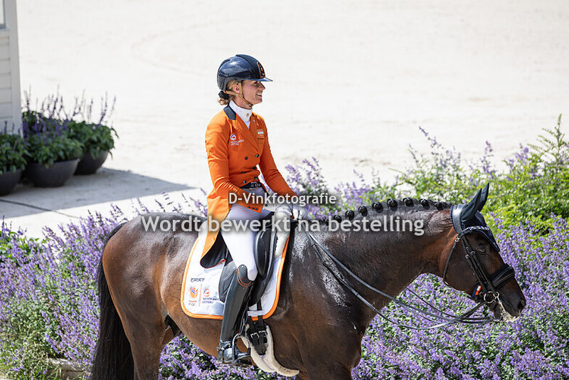 Dinja van Liere - Hermes