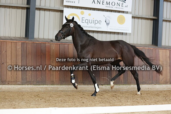 20 Sannegien (McLaren x Marijn v. Daily Diamond)