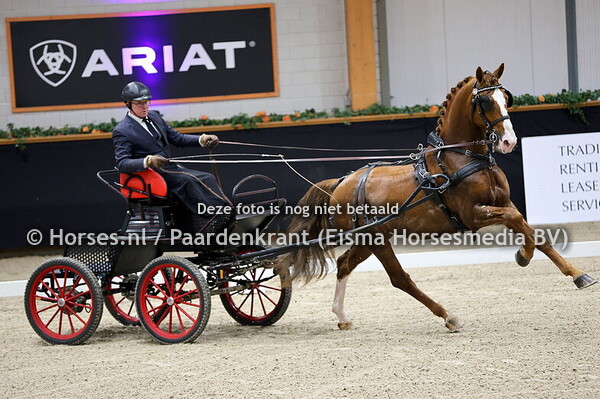 18-11-24 HC Kronenberg Gelderse hengsten