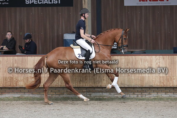 29 Navannah (Secret x Debertha v. Flemming)