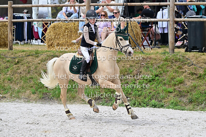 6 DE (70 cm.) rijstijl