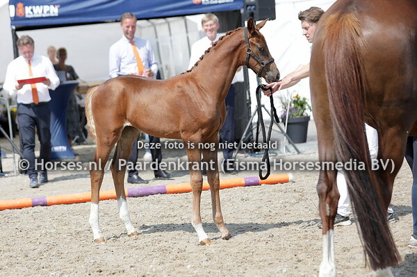 35 S'il Vous Plait (For Romance x Flipflop v. Floriscount)