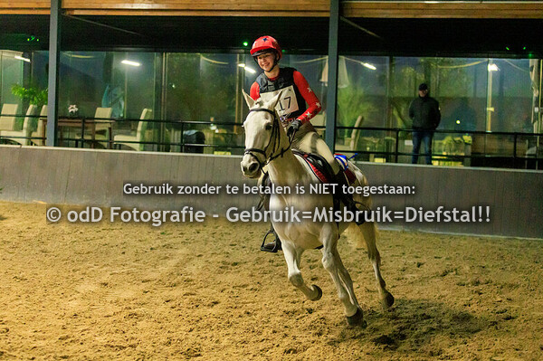 Indoor SGW Cross Paard B Pony L 30-12-24