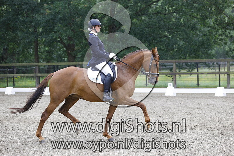 Zoom Advocatuur Blueberry